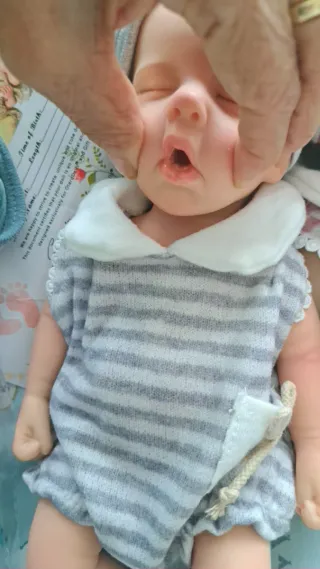 Reborn de silicona total 33cm 180€ cada uno