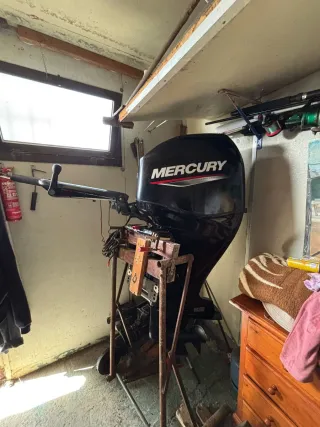 Mercury 60cv Inyección Electrónica