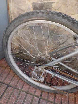 Bicicleta Orbea MTB Gris