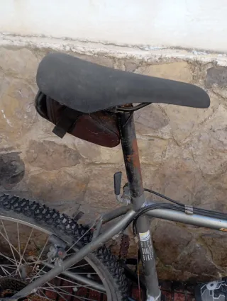 Bicicleta Orbea MTB Gris