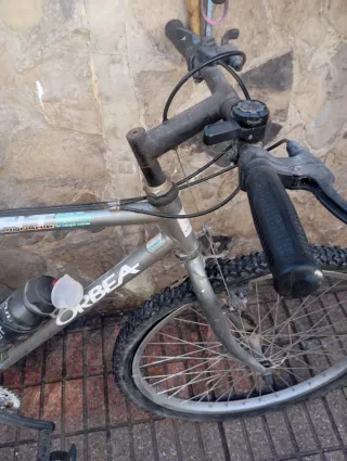 Bicicleta Orbea MTB Gris