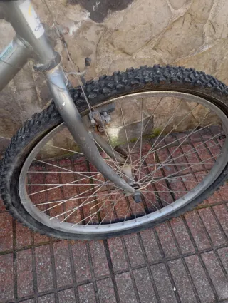 Bicicleta Orbea MTB Gris