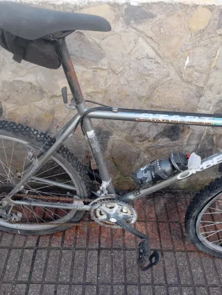 Bicicleta Orbea MTB Gris