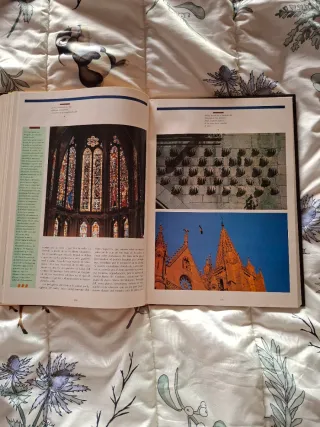 Libro "El camino de Santiago "