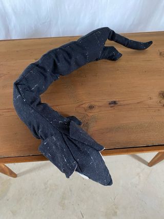 Perro Salchicha largo