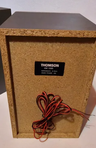 Coppia casse Thomson grigie