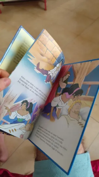Libro Il gobbo di NotreDame