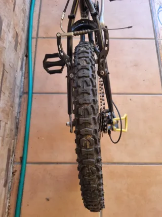 Bicicleta Infantil 20 Pulgadas