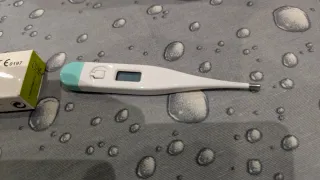 Termómetro Digital CE 0197