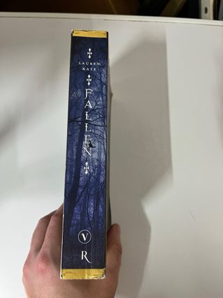 Fallen (Italian Edition)