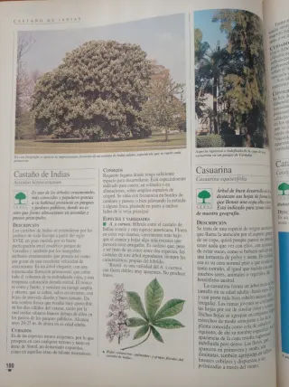 Libro práctico para afincionados a las plantas