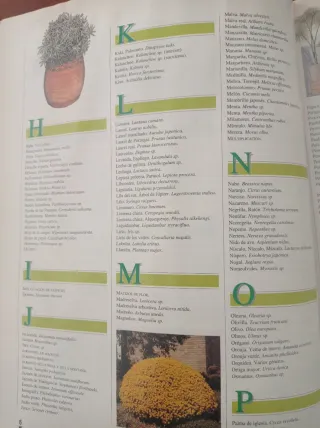 Libro práctico para afincionados a las plantas