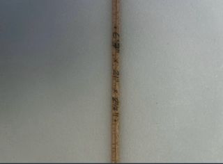 Tabla de surf 6'7 NEON