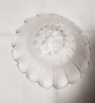 Lalique Paquerettes Ciotolina