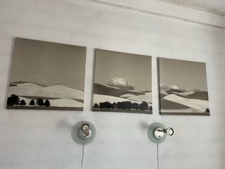 3 Cuadros Paisaje