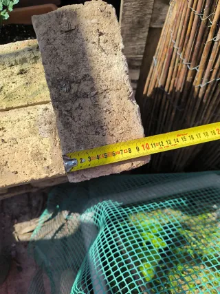 Ladrillos rústicos claro