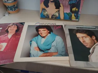 Lotto 15 dischi 33 giri