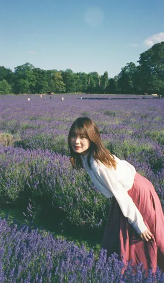 Canon IXUS II e Pentax Optio - Lotto di 2 Fotocamere