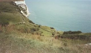 Canon IXUS II e Pentax Optio - Lotto di 2 Fotocamere