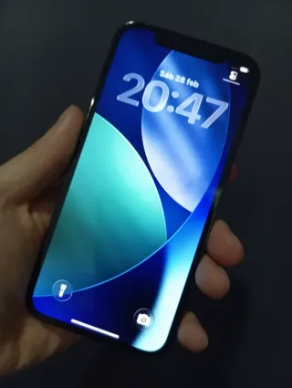 iPhone 12 Pro Batería 100%