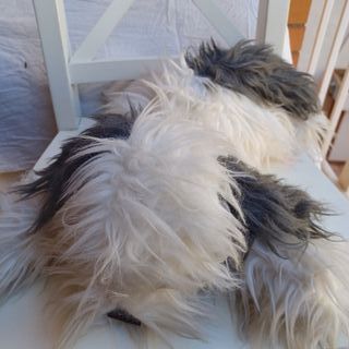 Peluche perro grande blanco y gris