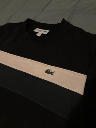 Jersey Lacoste Negro verde
