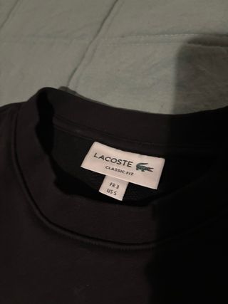 Jersey Lacoste Negro verde