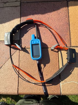 Garmin Alpha 100 + 2 Collares T15 y T5