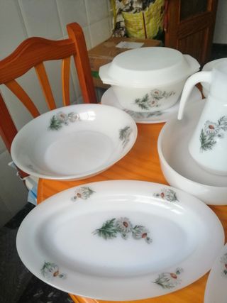 Vajilla Arcopal Margaritas 76 piezas