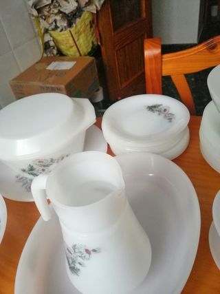 Vajilla Arcopal Margaritas 76 piezas