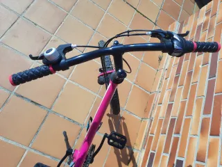 Bici B-Pro 20 Infantil Rosa