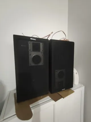 Altavoces Domus Delta 3