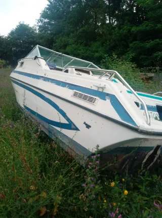 Barco de recreo blanco con detalles azules