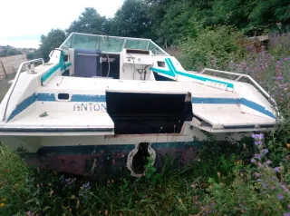 Barco de recreo blanco con detalles azules