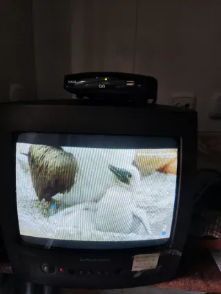 Televisor de tubo Grundig Gris 14 pulgadas