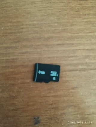 Carta Micro SD 8GB da GPS con dati
