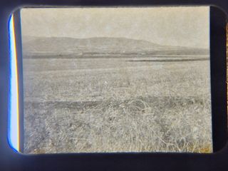 Lote 27 Fotos Botánica en Marcos de diapositivas