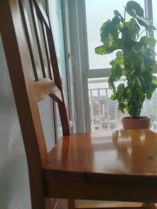 Sillas comedor madera Provenzal