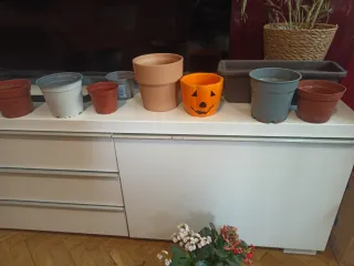 Lote macetas terracota y plástico