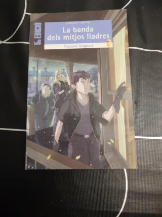 La banda dels mitjos lladres