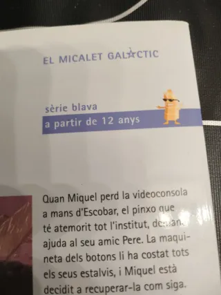 La banda dels mitjos lladres