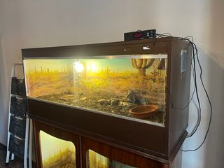 Terrario para reptiles, tortugas etc