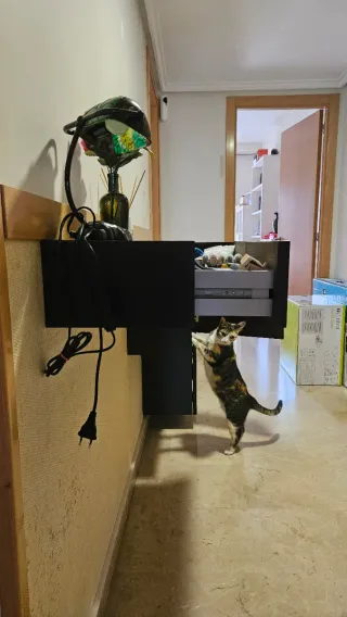 Mueble recibidor flotante wengué