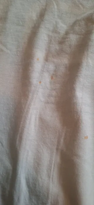 T-shirt Woolrich bianca con stampa pecora