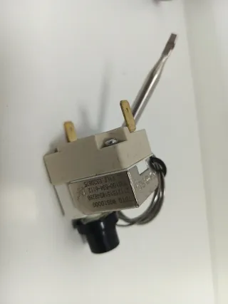 Resistencia, sensor presión y termostato Ecoforest