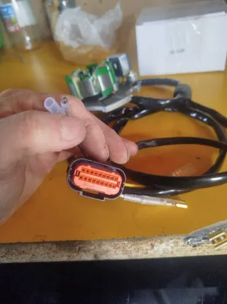 Bobina alternador para gas gas EC, MC