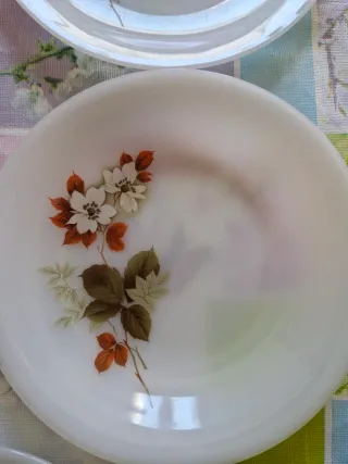 Platos Vintage Arcopal Anemone - Años 70