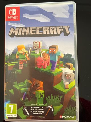 Minecraft Nintendo Switch