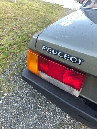 Peugeot 505 1983
