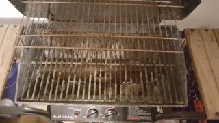 Barbacoa a gas Char-Broil NO ENVIO